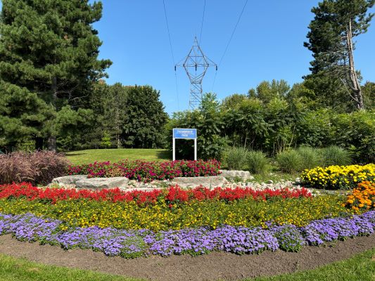 Garden at Trowbridge Park