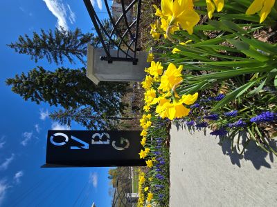Oshawa Valley Botanical Gardens